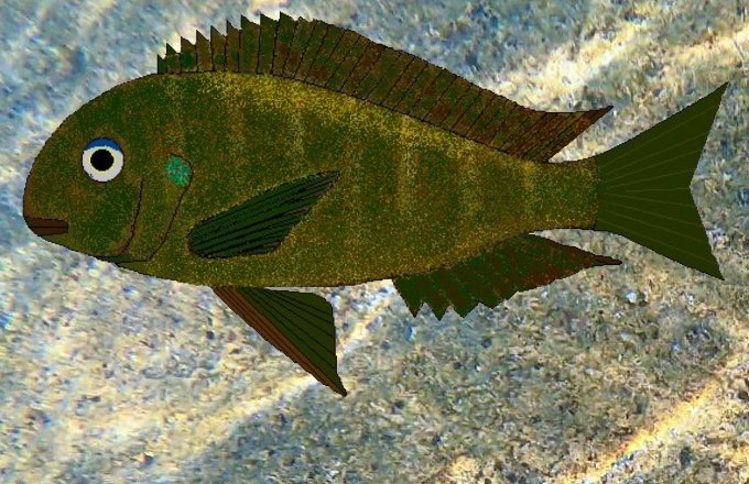 Tropheus sp. 'crescentic' Zinzia